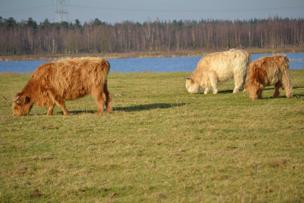 Auberge De Moerse Hoeve Eksteriør bilde