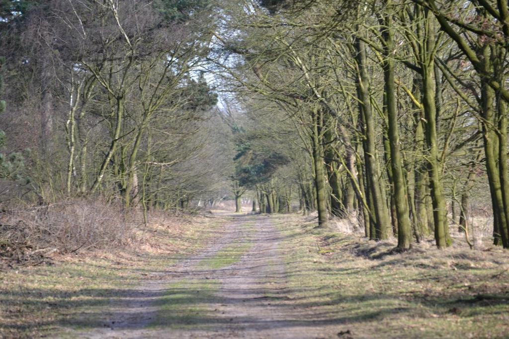 Auberge De Moerse Hoeve Eksteriør bilde