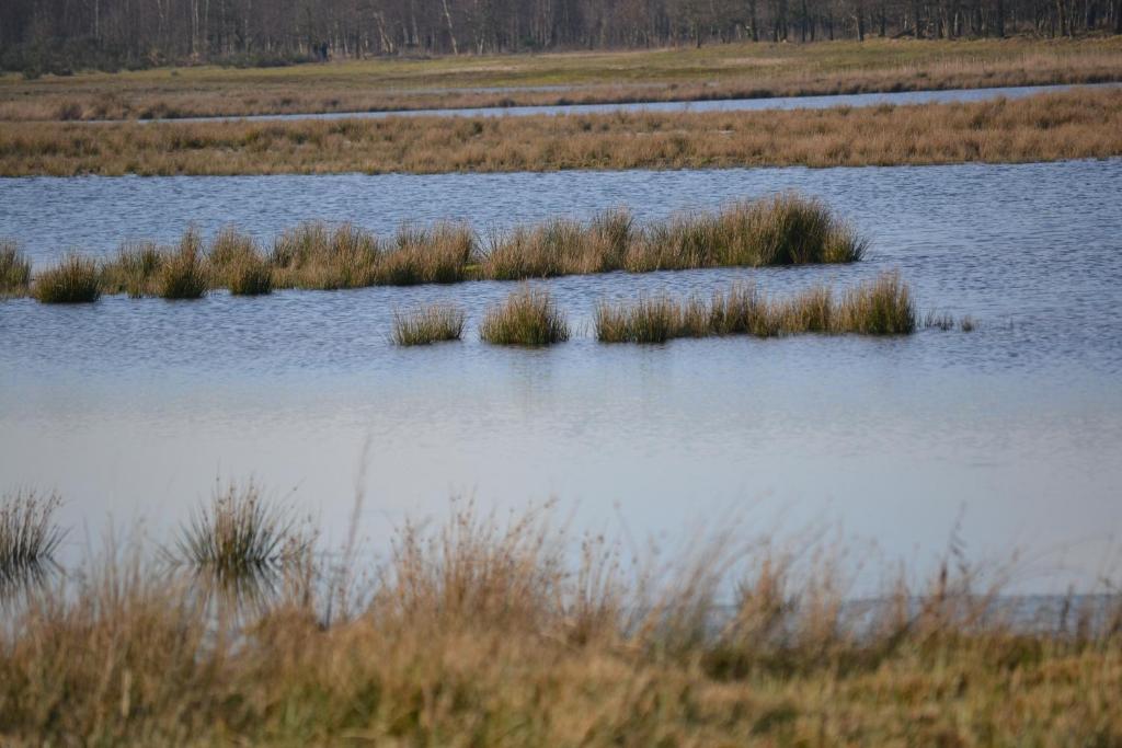 Auberge De Moerse Hoeve Eksteriør bilde