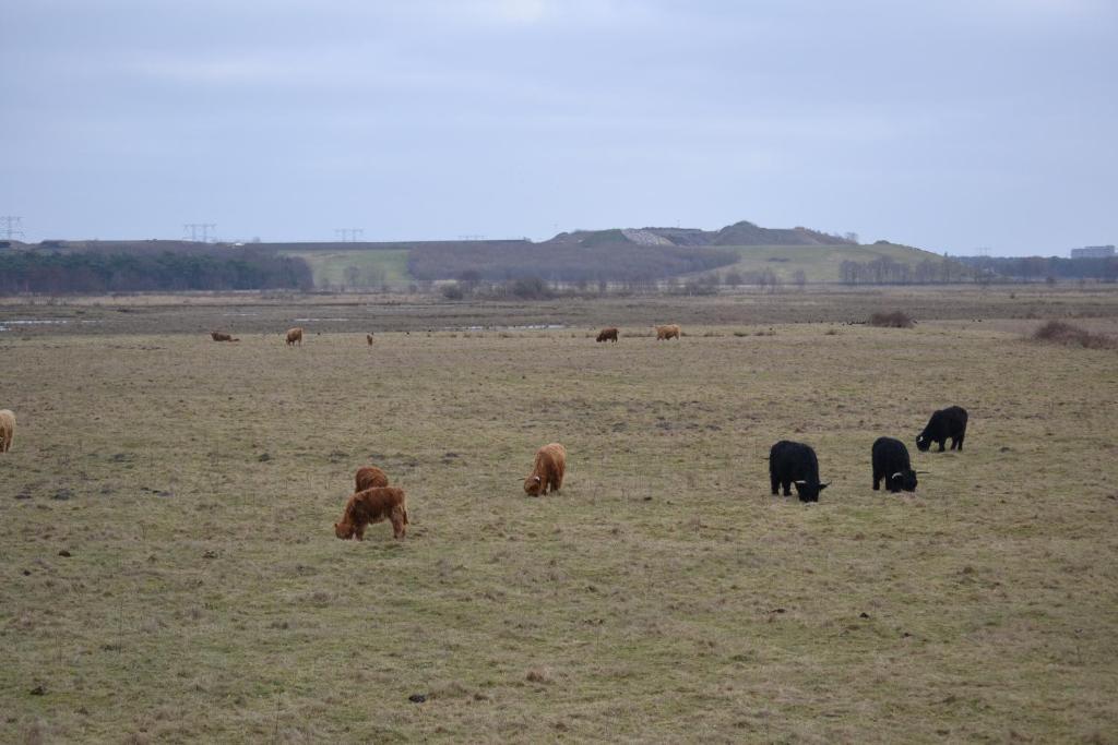 Auberge De Moerse Hoeve Eksteriør bilde